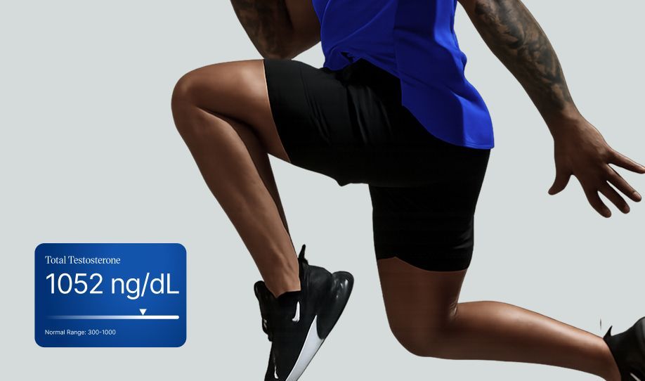 Health monitoring and bloodwork tracking